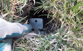 Call Angel's Gopher Exterminator